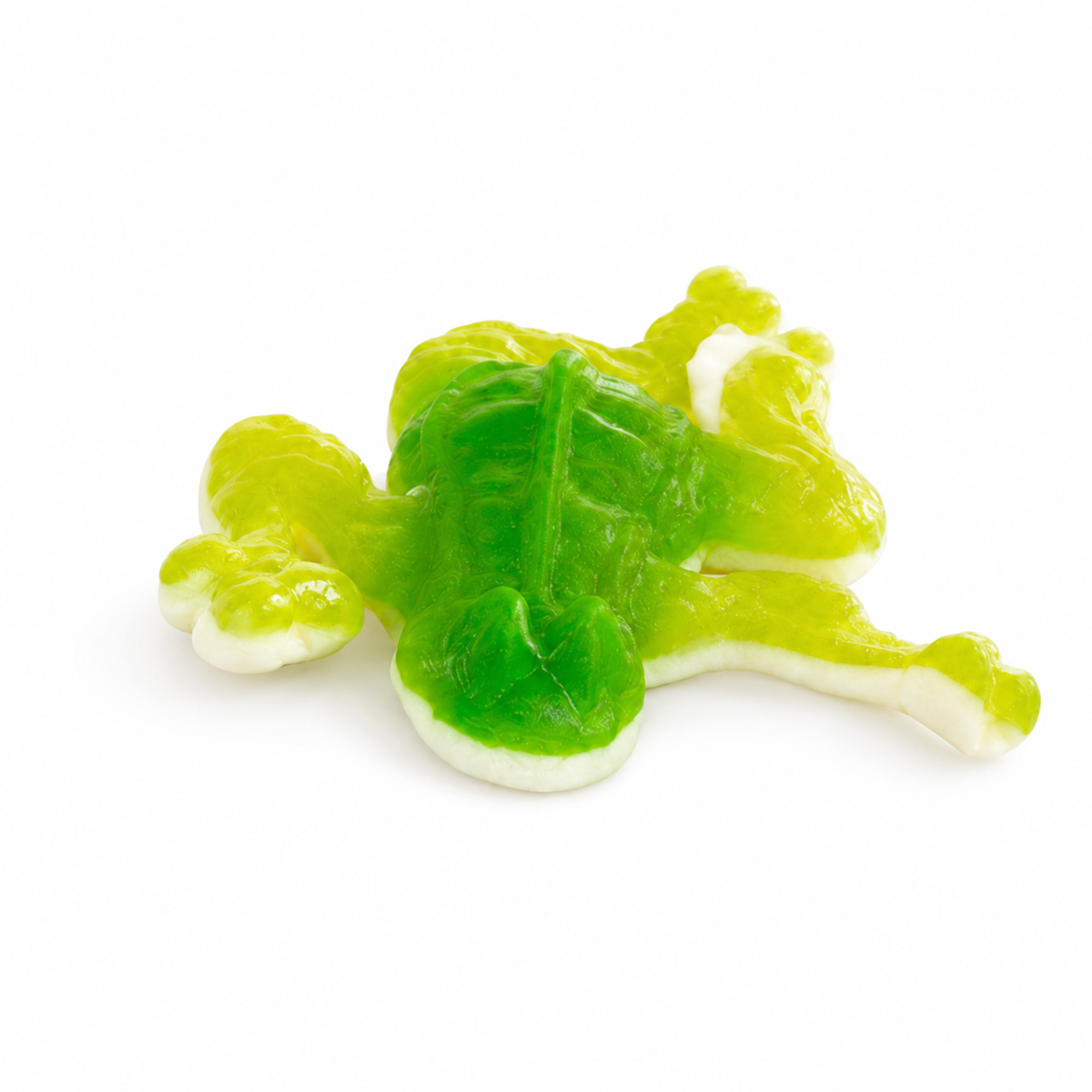 GIANT GUMMY BULLFROGS
