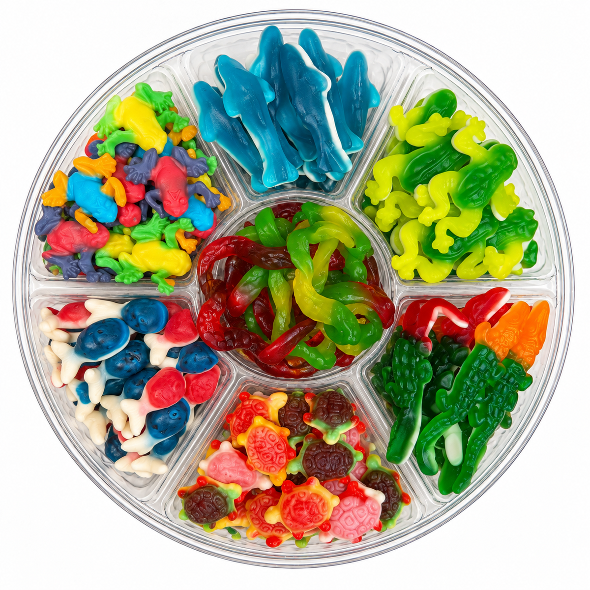 Wild Gummy Adventure